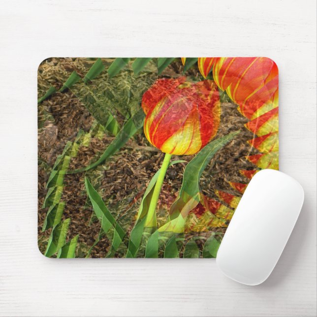 Tapis De Souris Fanned Tulip....... (Avec souris)