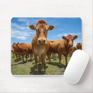 Tapis De Souris Farms Brown cow