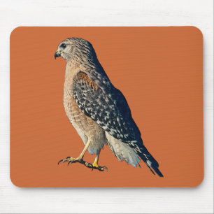 Tapis De Souris Faucon rouge d'épaule