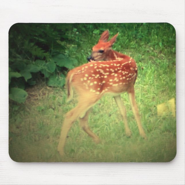 Tapis De Souris Faune (Devant)