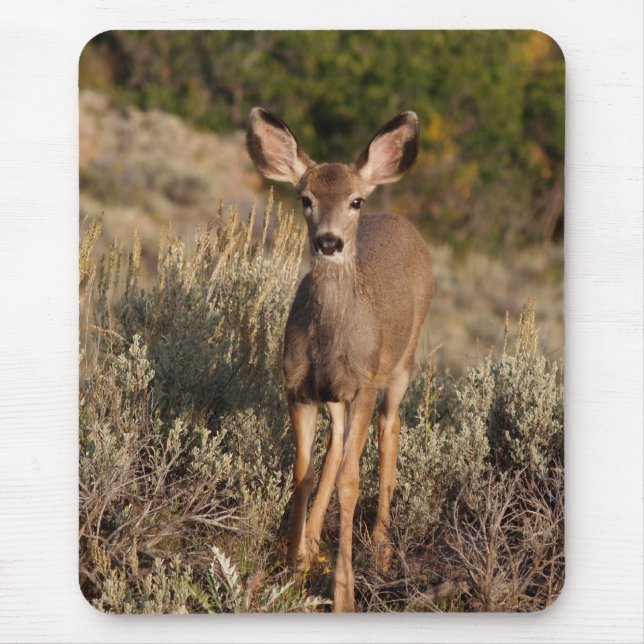 Tapis De Souris Fawn Mousepad (Devant)