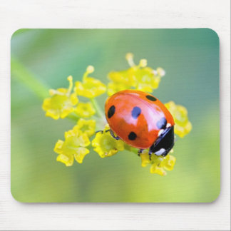 Tapis De Souris femme au sommet