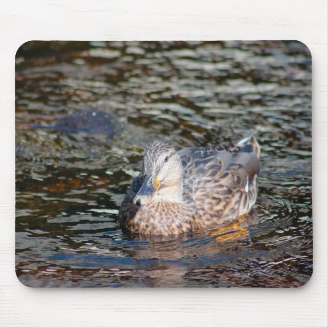 Tapis De Souris Femme Mallard (Devant)