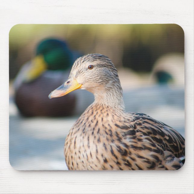 Tapis De Souris Femme Mallard (Devant)