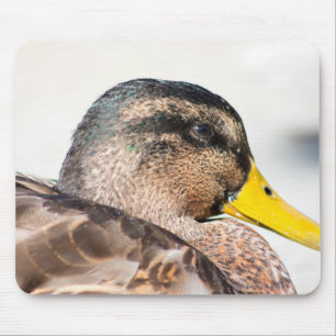 Tapis De Souris Femme Mallard