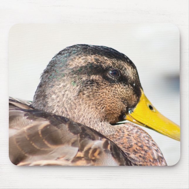 Tapis De Souris Femme Mallard (Devant)