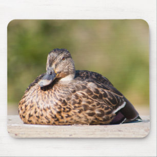Tapis De Souris Femme Mallard