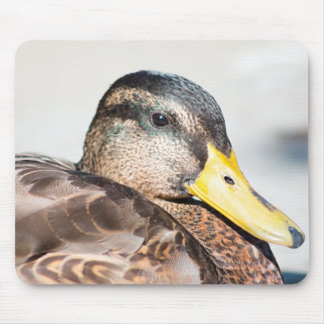 Tapis De Souris Femme Mallard (Devant)