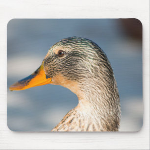 Tapis De Souris Femme Mallard