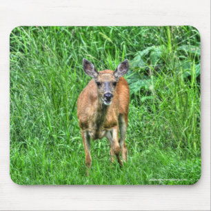 Tapis De Souris Femme Mule Deer sur Ranch Faune Photo