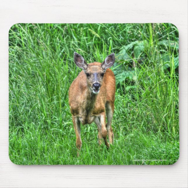 Tapis De Souris Femme Mule Deer sur Ranch Faune Photo (Devant)