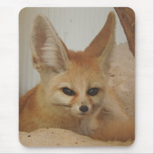 Tapis De Souris Fennec Fox