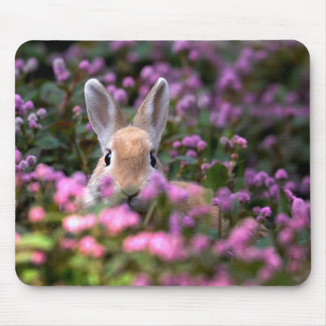 Tapis De Souris Ferme de lapins (Devant)