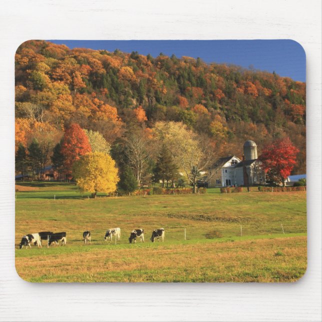 Tapis De Souris Ferme du Mont Holyoke en automne (Devant)