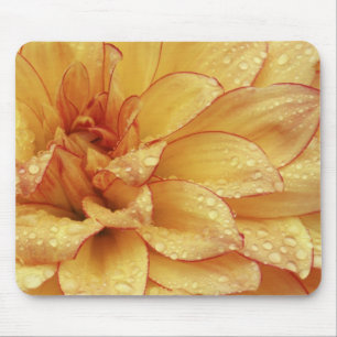 Tapis De Souris Fermé sur des photographies de fleur de Dalhia ave