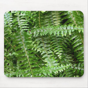 Tapis De Souris Fermer Fronds I Green Nature
