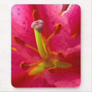 Tapis De Souris Fermer la fleur