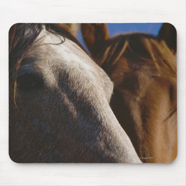 Tapis De Souris Fermer les chevaux (Devant)