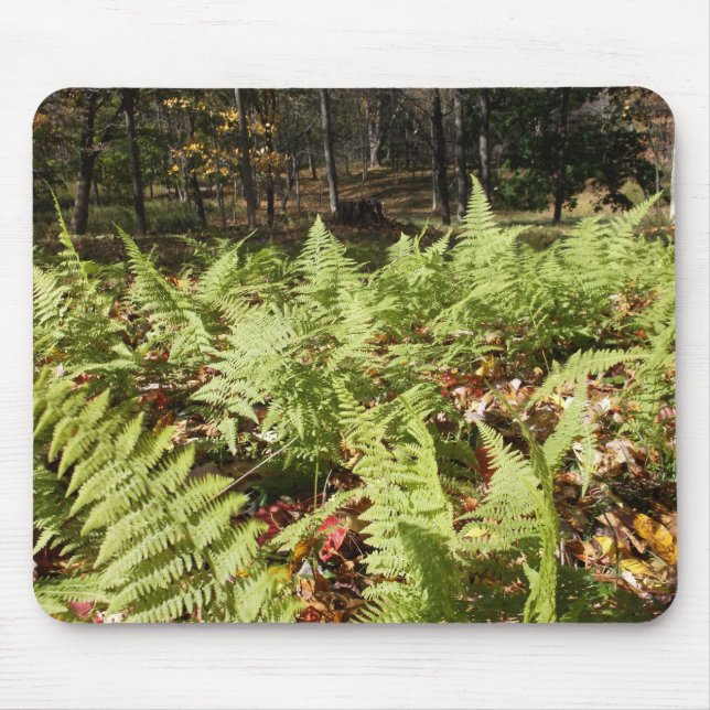 Tapis De Souris Fermes d'automne (Devant)