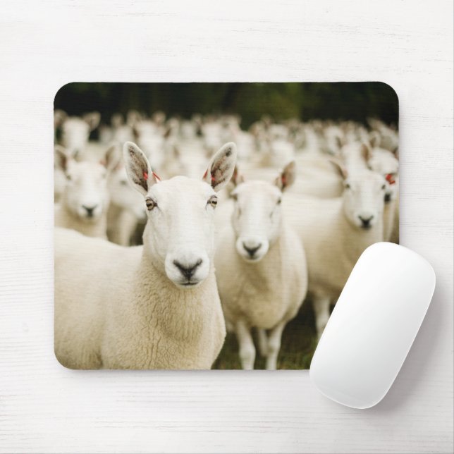 Tapis De Souris Fermes | Troupeau de moutons (Avec souris)