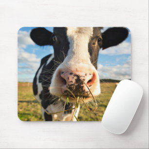 Tapis De Souris Fermes   Vache Holstein Chewing