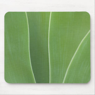 Tapis De Souris Fermeture du Plante d'agave