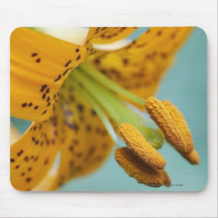 Tapis De Souris Fermez-vous d'un lis jaune