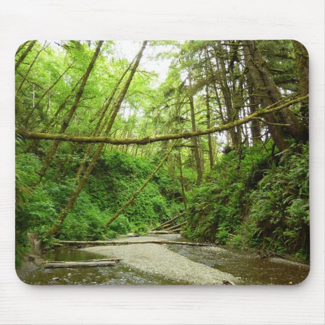 Tapis De Souris Fern Canyon I au Redwood National Park (Devant)
