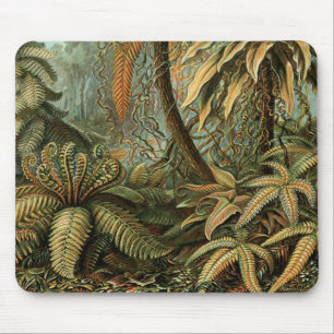 Tapis De Souris Ferns Palm Tree Antiquité Botanique Ferns Art