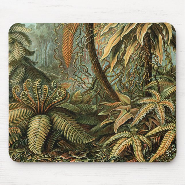 Tapis De Souris Ferns Palm Tree Antiquité Botanique Ferns Art (Devant)