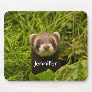 Tapis De Souris Ferret Brown dans l'herbe
