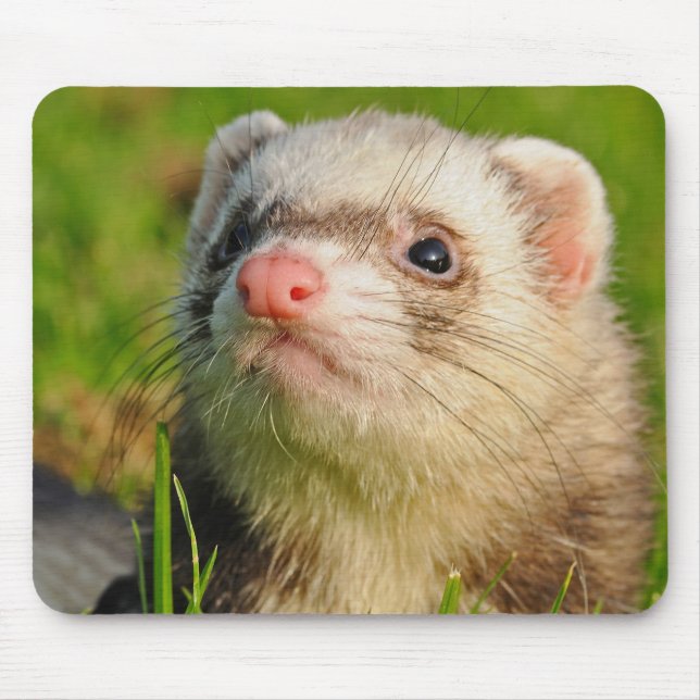 Tapis De Souris Ferret de sable dans l'herbe (Devant)