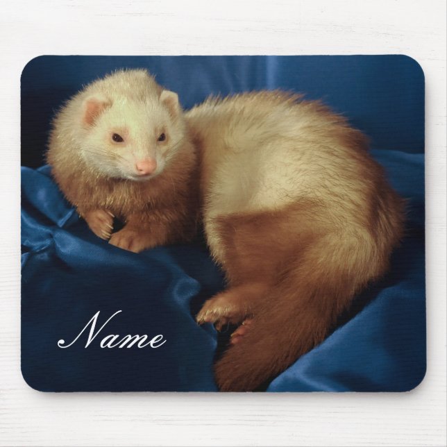 Tapis De Souris Ferret personnalisé pour animaux de compagnie (Devant)