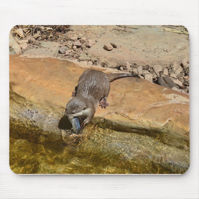Tapis De Souris **"Fête de Pondside : Un Otter et son Catch"** (Devant)