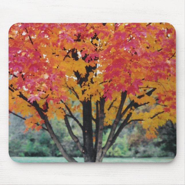 Tapis De Souris Feu d'automne (Devant)