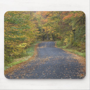 Tapis De Souris Feuillage d'automne au bord de la route, Vermont d