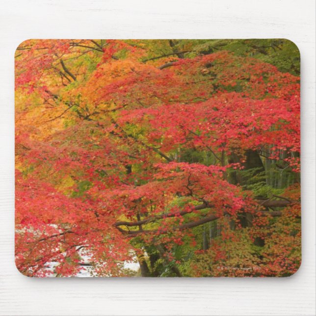 Tapis De Souris Feuillage d'automne japonais (Devant)