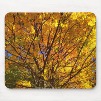 Tapis De Souris Feuillage Jaune d'Automne