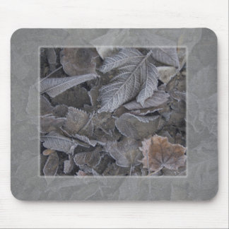 Tapis De Souris feuille