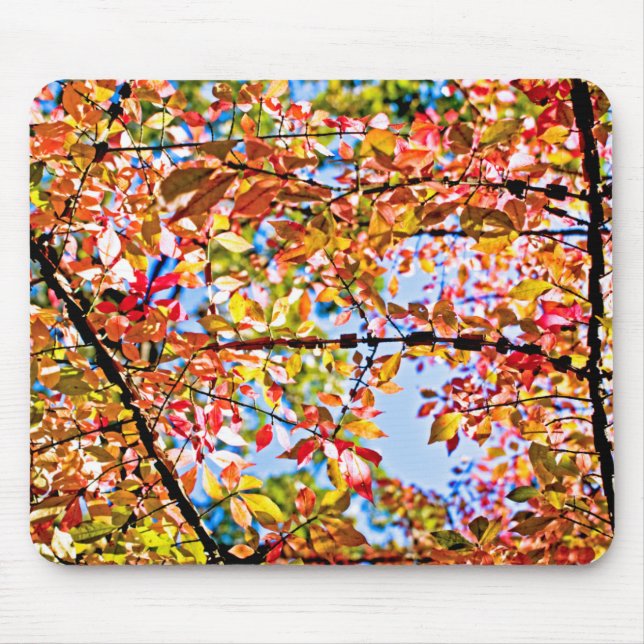 Tapis De Souris Feuille (Devant)