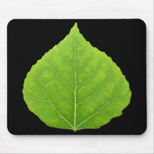Tapis De Souris Feuille d'Aspen vert #11