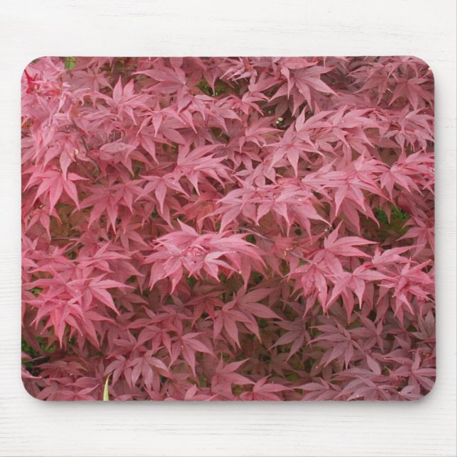 Tapis De Souris feuille de palmatum d'acer (Devant)