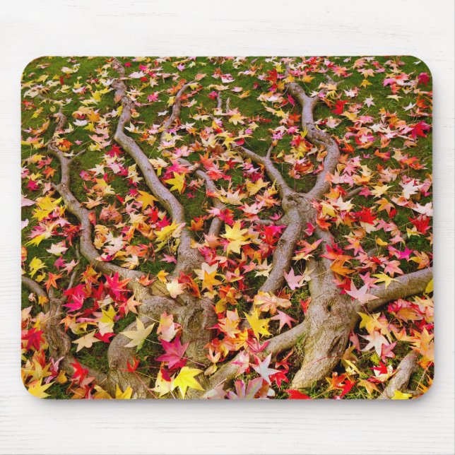 Tapis De Souris Feuille d'érable aux couleurs vives (Devant)