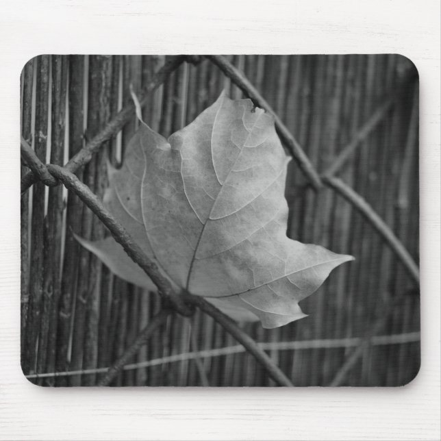 Tapis De Souris Feuille d'érable sèche - Mousepad (Devant)