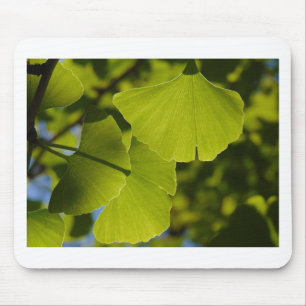 Tapis De Souris Feuille ensoleillé de Ginkgo