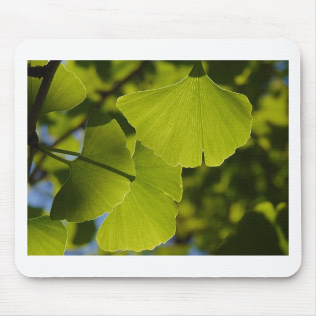 Tapis De Souris Feuille ensoleillé de Ginkgo (Devant)