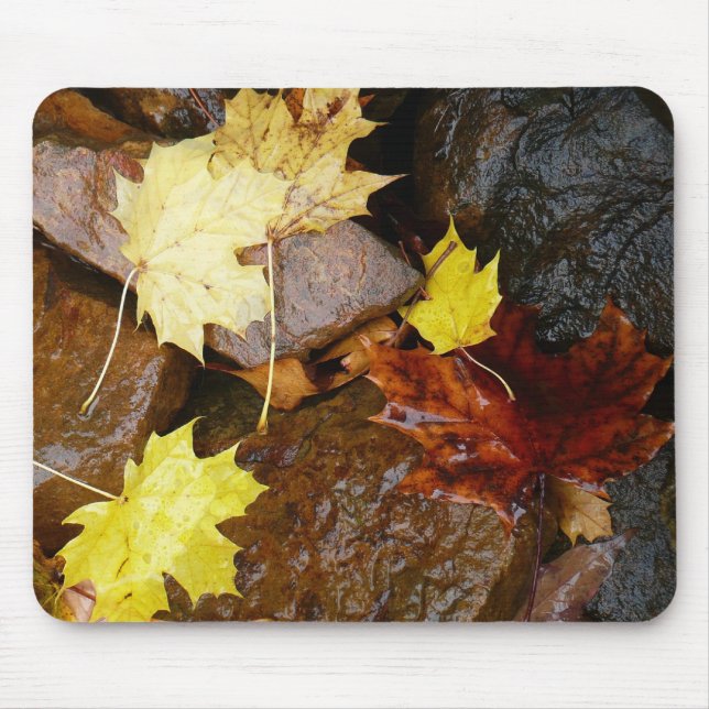 Tapis De Souris Feuille et rochers d'automne Photographie naturell (Devant)