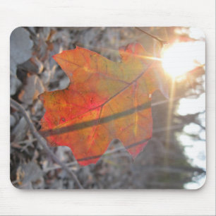 Tapis De Souris Feuille sur le sentier
