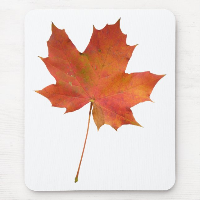 Tapis De Souris Feuille tombée 01 (Devant)