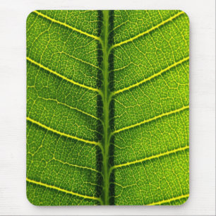 Tapis De Souris Feuille verte